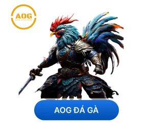 Cá Cược Thể Thao kufun
