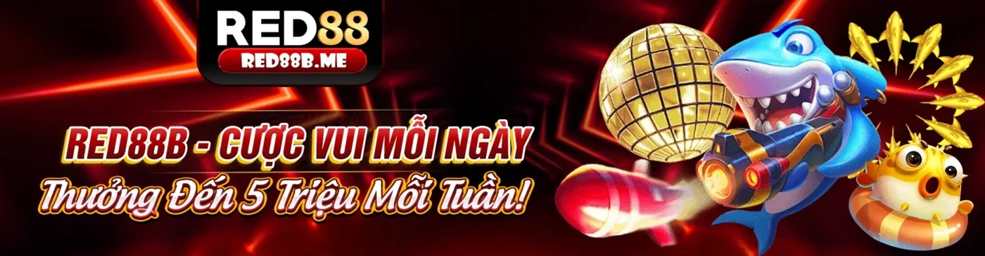 Hình ảnh cá cược thể thao sôi động tại kufun